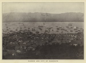 Hafen und Stadt von Hakodate