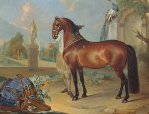 Das braune Pferd 