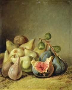 Früchtestillleben