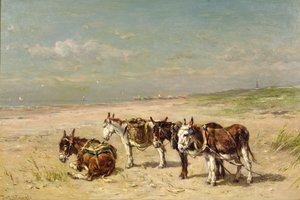 Esel am Strand