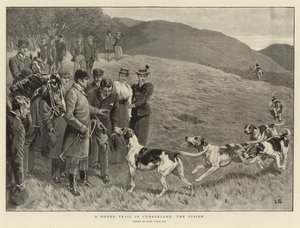 Ein Hundewettlauf in Cumberland, das Ziel