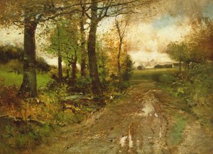 Weg durch den Wald