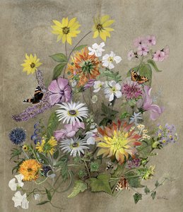 Sommerblumen