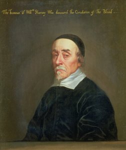 Porträt von William Harvey (1578-1657)