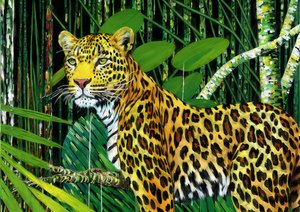Tiere: Leopard 1