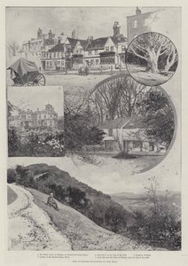 Der vorgeschlagene Einschluss von Box Hill