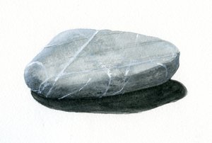 Stein