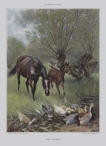 Une Panique (Eine Panik)