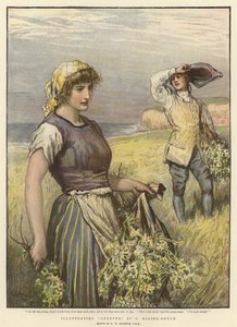 Illustration von 