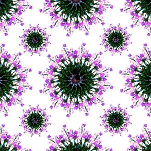 Orchideenwelt