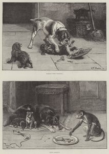 Hunde und Essen