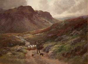 Landschaft