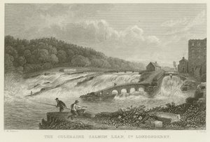 Der Lachsprung von Coleraine