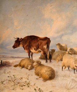 Kühe und Schafe in Schneelandschaft, 1864