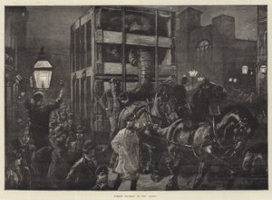 Jumbos Reise zu den Docks