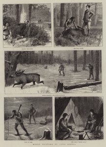 Elchjagd in Nova Scotia