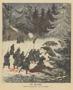 Eine Bäreninvasion in Russland