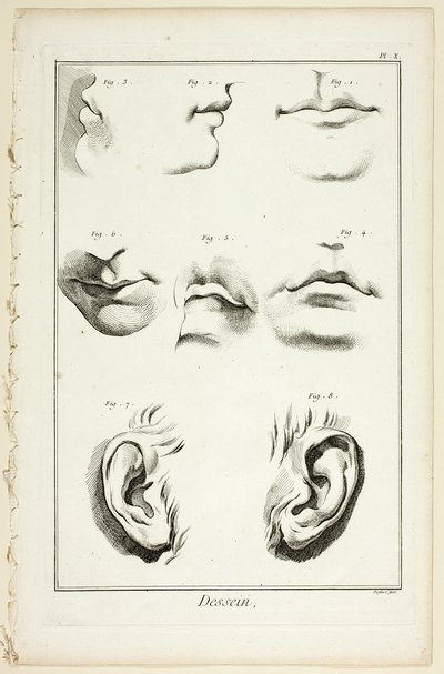 Design: Gesichtsanatomie aus der Encyclopédie von A. J. Defehrt