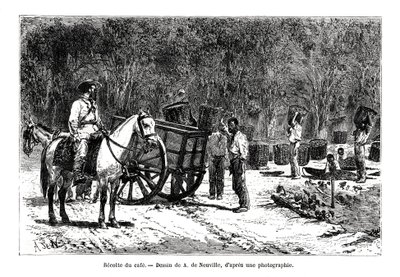 Kaffeeernte in Brasilien von A. de Neuville
