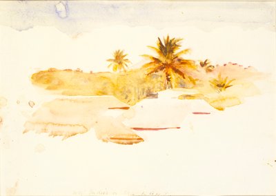 Westindien von Abbott Handerson Thayer