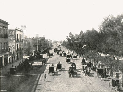 Avenida Juarez, Mexiko-Stadt, Mexiko, 1895 von Abel Briquet