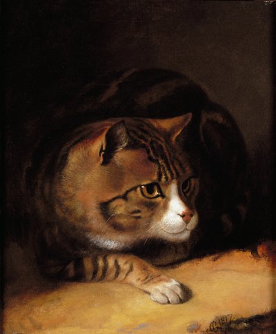 Eine getigerte Katze von Abraham Cooper