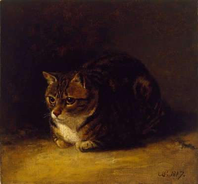 Studie einer Katze, 1817 von Abraham Cooper