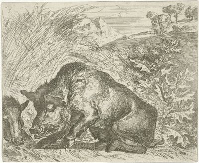Wildschwein von Abraham Danielsz. Hondius