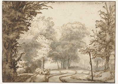 Weg durch den Wald von Abraham Furnerius
