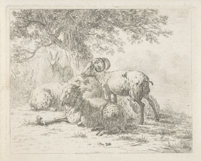 Schafe und ein Bock von Abraham Hendrik Winter