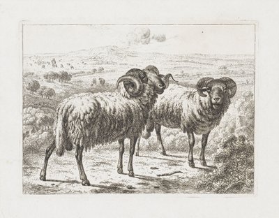 Zwei Widder von Abraham Hendrik Winter