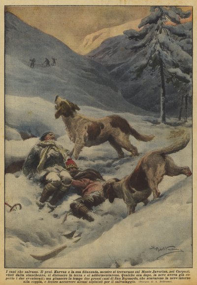 Die Hunde, die retten von Achille Beltrame