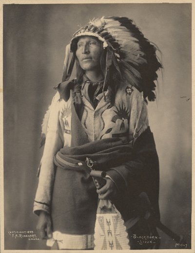 Blackhorn, Sioux von Adolph F. Muhr