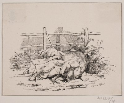 Die Schweine von Johan Adolph Kittendorff