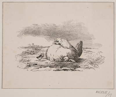 Die Küken von Johan Adolph Kittendorff