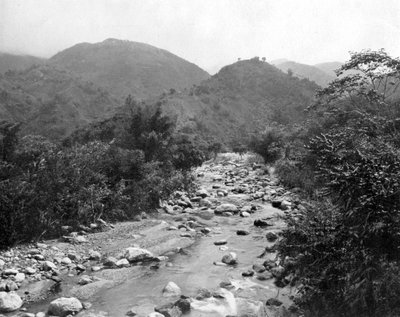 Der Wag-Fluss, Castleton, Jamaika, ca. 1905 von Adolphe Duperly and Son