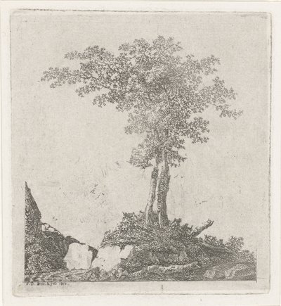 Zwei Bäume von Adriaan Jacob Willem van Dielen