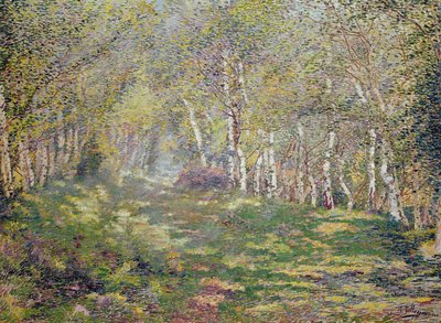 Silberbirken von Adriaan Josef Heymans