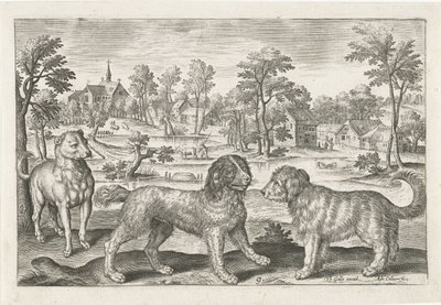 Hunde von Adriaen Collaert