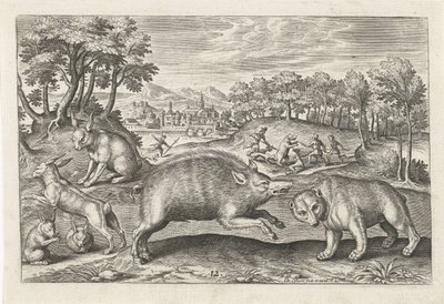 Wild von Adriaen Collaert