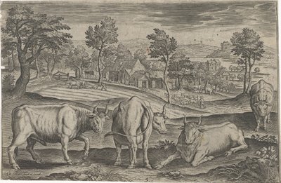 Rinder von Adriaen Collaert