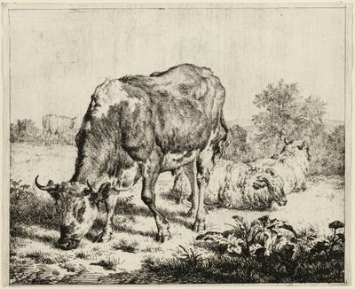 Eine Kuh und drei Schafe von Adriaen van de Velde