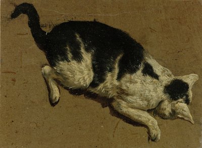 Katze von oben von Adriaen van de Velde