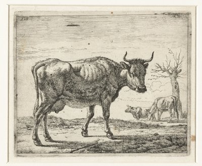 Drei Kühe von Adriaen van de Velde
