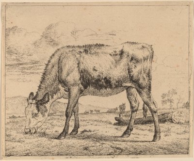 Weidendes Kalb von Adriaen van de Velde
