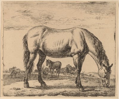 Weidendes Pferd von Adriaen van de Velde