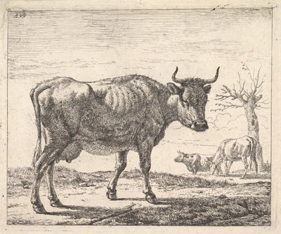 Drei Kühe von Adriaen van de Velde
