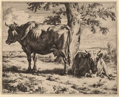 Zwei Kühe unter einem Baum von Adriaen van de Velde