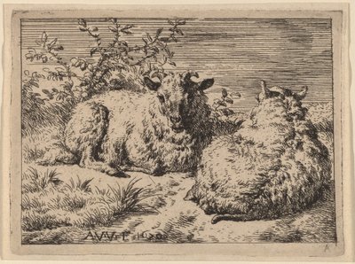 Zwei liegende Schafe von Adriaen van de Velde