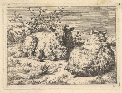 Zwei liegende Schafe von Adriaen van de Velde